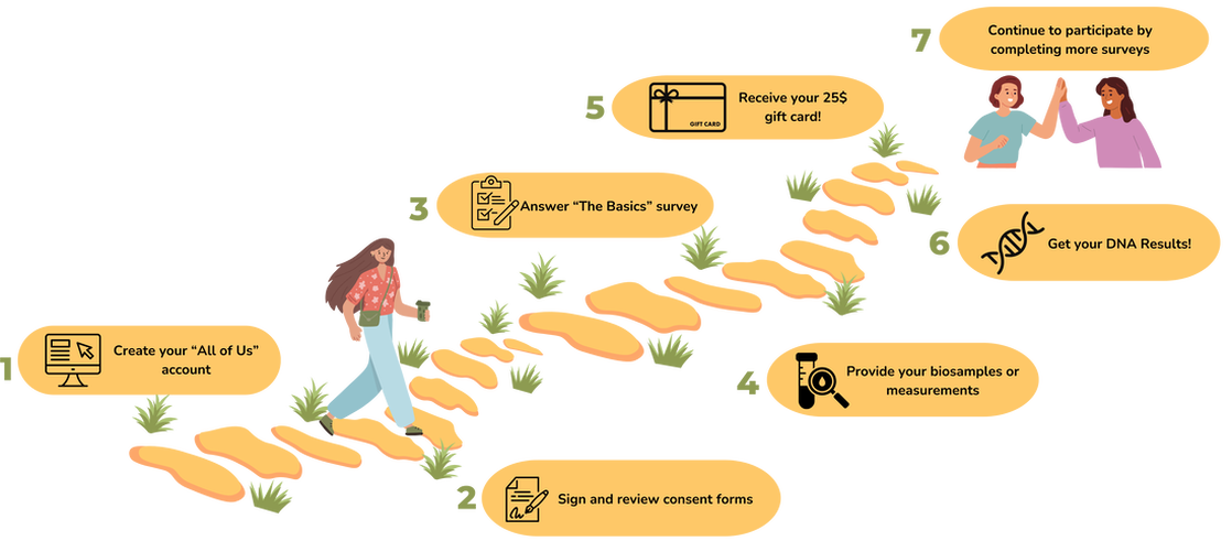 timeline showing how to get in the study by creating an account, sign and review consent forms provide biosamples or measurements answer the basics survey receive a $25 gift card get your DNA results and continue to participate with further surveys