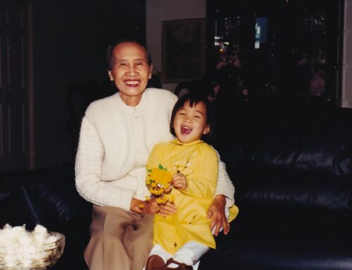 Community Letter: The Year of the Fire Horse – Moving Boldly into 2026